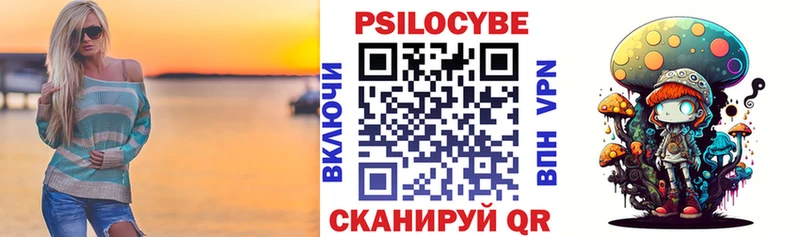 hydra   Строитель  Псилоцибиновые грибы мицелий 