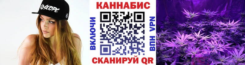 Бошки Шишки VHQ  KRAKEN маркетплейс  Строитель 